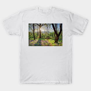 Bluebell Sunrise T-Shirt